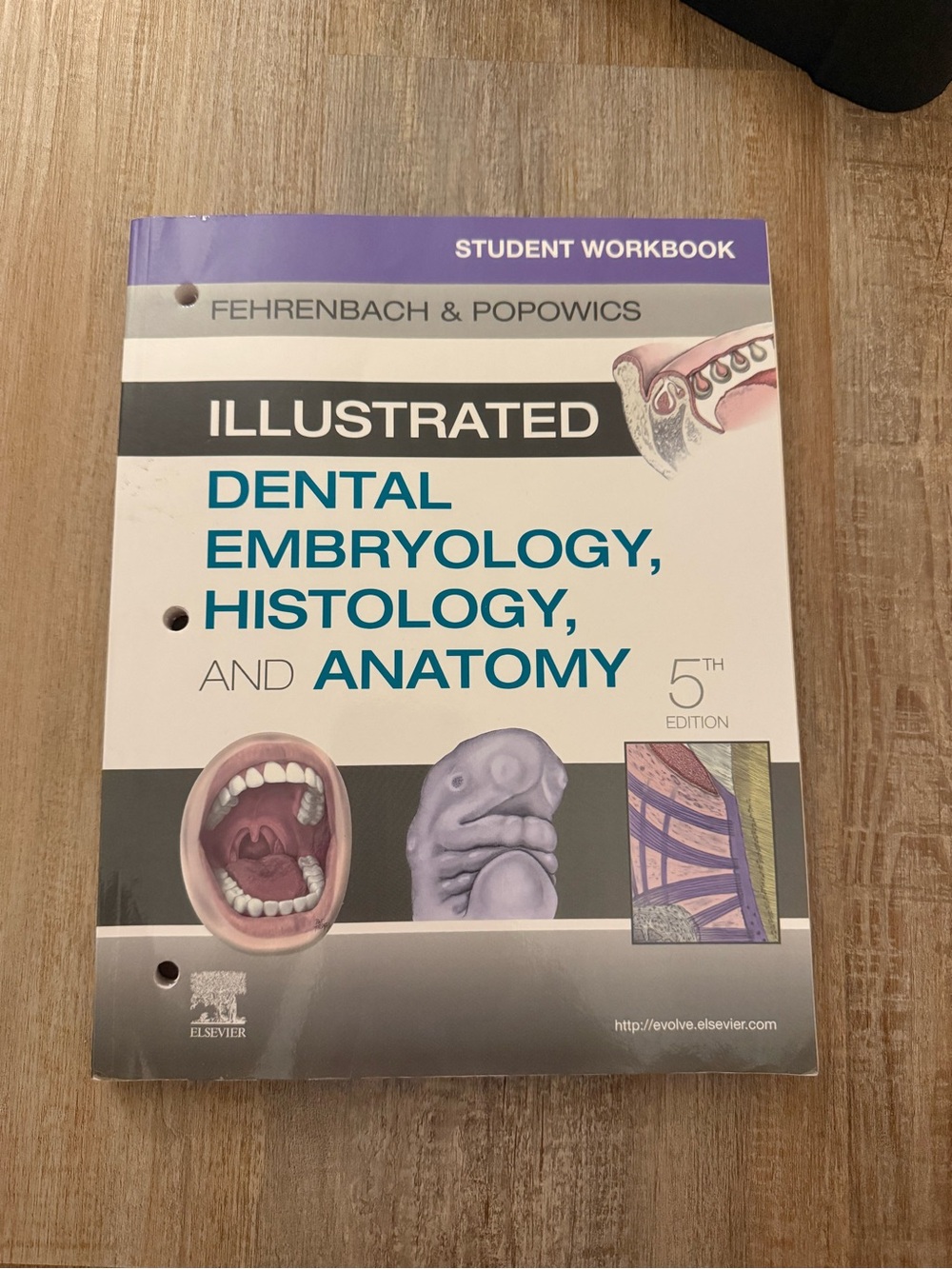 Illustrated Dental Embryology, Histology, & Anatomy 5th Edition Student Workbook
